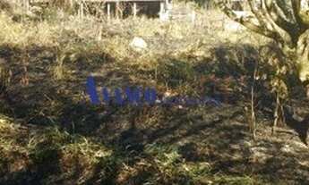 Imagem 5: Bairro do Castanho - Área de 40.000 m² para incorporação em rodovia