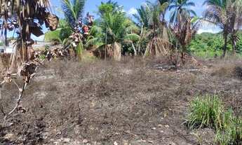 Imagem 4: Vendo terreno na entrada de Saubara