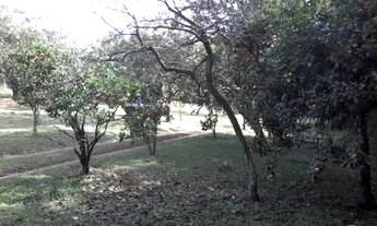 Imagem 4: Porto Alegre - Terreno Padrão - Restinga