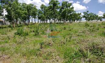 Imagem 6: BAIRRO CURITIBANOS, 1000m², EXCELENTE TOPOGRAFIA, BEM LOCALIZADO