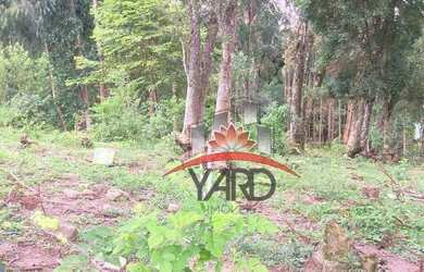 Imagem 5: Terreno à venda, 4613m² por R$ 430.000 - Campo Magro/PR