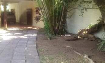 Imagem 3: Porto Alegre - Casa Padrão - Ipanema