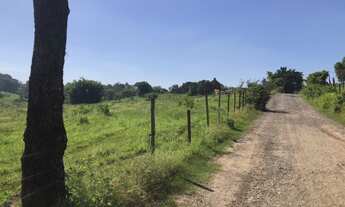 Imagem 7: Fazenda/Sítio/Chácara para venda com 6 alqueires