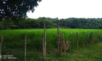 Imagem 7: Sitio com 1.5 hectares, casa sede, excelente localização, aceita propostas!