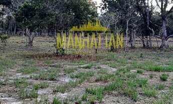 Imagem 3: INCRÍVEL TERRENO COM 30.OOO M² EM BOI PEBA - CAIRU BA