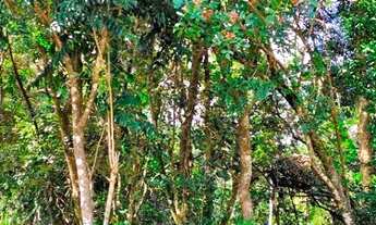 Imagem 2: Chácara com preço acessível, para quem procura área arborizada aqui temos !