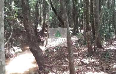 Imagem 5: Gameleira de Goiás - Chácara - Zona Rural