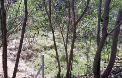 Imagem 7: Vende Ótimo Terreno 2.780 m² - Monterrey - Louveira