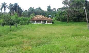 Imagem 3: Oportunidade! Vende-se uma bela fazenda de 153 hectares