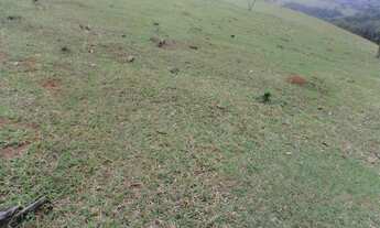 Imagem 7: Sítio 270000 metros quadrados em Zona Rural - Morungaba - SP