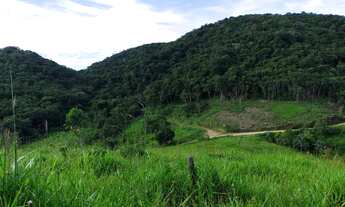 Imagem 4: Sítio 9 Alqueires, Pasto, Nascentes (Willian Ricardo