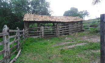 Imagem 4: Fazenda/Sítio/Chácara para venda tem 210000 metros quadrados