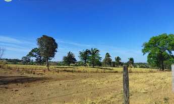Imagem 6: FAZENDA À VENDA EM DOIS IRMÃOS - TO - 1.069,64 HECTARES (DUPLA APTIDÃO