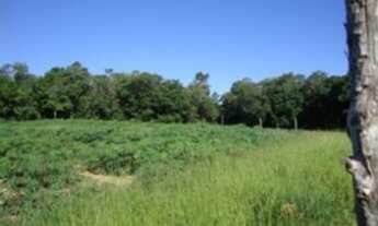 Imagem 2: Porto Alegre - Terreno Padrão - Chapéu do Sol