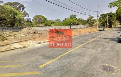 Imagem 4: Oportunidade - Lotes de 1.250Mts no Bairro Braunas