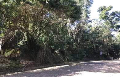 Imagem 2: Porto Alegre - Terreno Padrão - Sétimo Céu