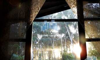 Imagem 4: Chácara na Roseira