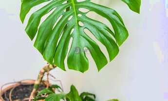 Imagem 4: Casa para venda possui 161 metros quadrados com 3 quartos