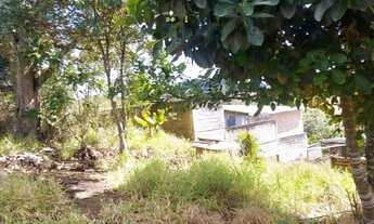 Imagem 5: Terreno em Ipelandia