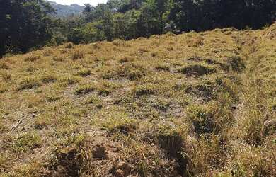 Imagem 5: Vende se terreno de 1500 metros belo vale