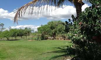 Imagem 7: Lindo sitio de 30.000 m² em Maristela SP