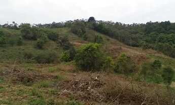 Imagem 7: CHACARA ROSEIRA 10 MIL METROS COM NASCENTE