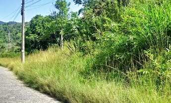 Imagem 5: Sítio para venda 20.006 metros quadrados em Conceição (Rio do Ouro) - Magé