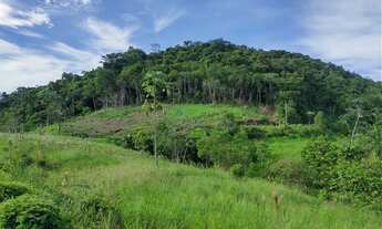 Imagem 6: Sítio 9 Alqueires, Pasto, Nascentes (Willian Ricardo