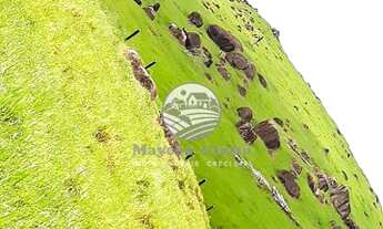 Imagem 4: Machadinho D'Oeste - Sítio - Machadinho D'Oeste