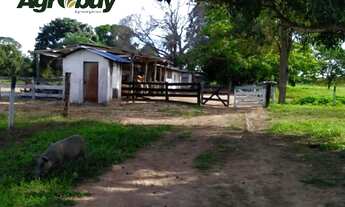 Imagem: Fazenda Localizada em Sandolândia To, Com
