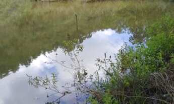 Imagem: Terreno 15.5 Hectares em Passa Tempo MG