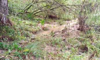Imagem 3: CHACARA ROSEIRA 10 MIL METROS COM NASCENTE