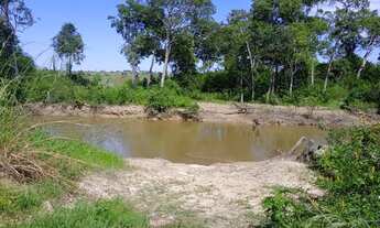 Imagem 6: Fazenda no vale do araguaia