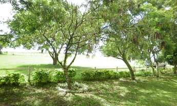 Imagem 3: Porto Alegre - Sítio - Lami