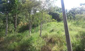 Imagem 5: Terreno - Joaquim Egídio - Campinas