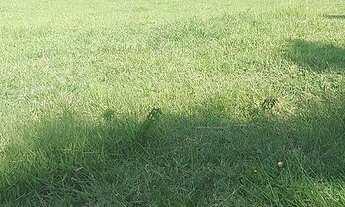 Imagem 3: Sítio Estância Hidromineral de Amparo/SP/BR (Hel. Fon.