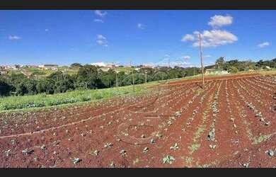 Imagem 4: Chácara Ibiporã