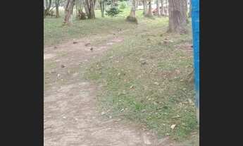 Imagem 4: Sitio Chácara com venda por R$680.000