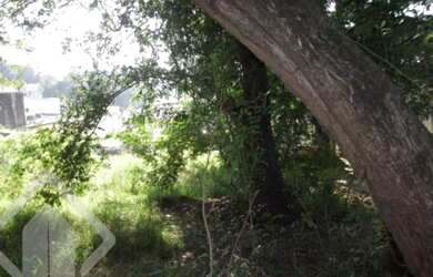 Imagem 3: PORTO ALEGRE - Terreno Padrão - Camaquã