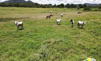Imagem 6: Farm for Sale in Marcionilio Souza - Bahia | The banks of the Paraguaçu River
