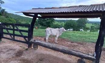 Imagem 7: Fazenda 39 alqueires Município de Varjão - GO