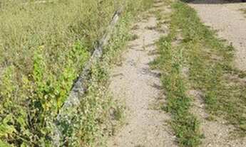 Imagem 4: Oportunidade - Terreno em Bezerros!!