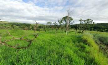 Imagem 6: Excelente Fazenda - Santo Antônio do Descoberto - GO