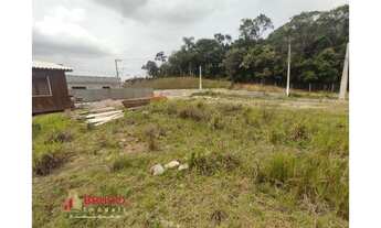 Imagem 6: Biguaçu - Terreno Padrão - Alto Biguaçu