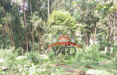 Imagem 11: Terreno à venda, 4613m² por R$ 430.000 - Campo Magro/PR