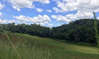 Imagem 3: Fazenda/Sítio/Chácara para venda com 36000 metros quadrados em Campo Novo - Campo Magro