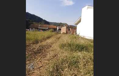 Imagem 2: TE31 Terreno em Três Coroas, topografia plana