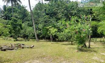 Imagem 5: Ilhéus - Fazenda - Iguape