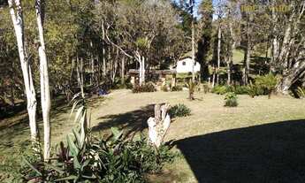 Imagem 2: Chácara à venda, 144000 m² por R$ 1.200.000,00 - Palmitalzinho - Quatro Barras/PR