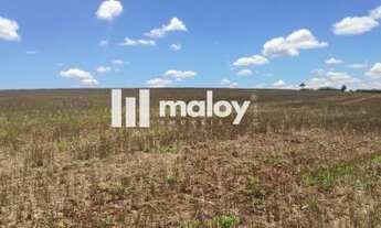 Imagem 4: Fazenda para Venda em Vera Cruz do Oeste, Zona Rural